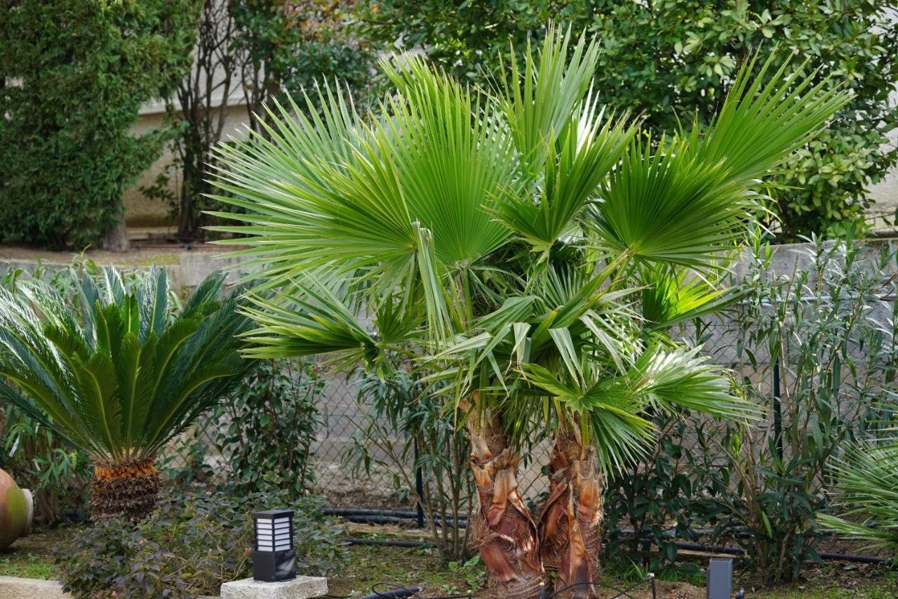 Villa Les Cades Sainte-Maxime Eksteriør billede