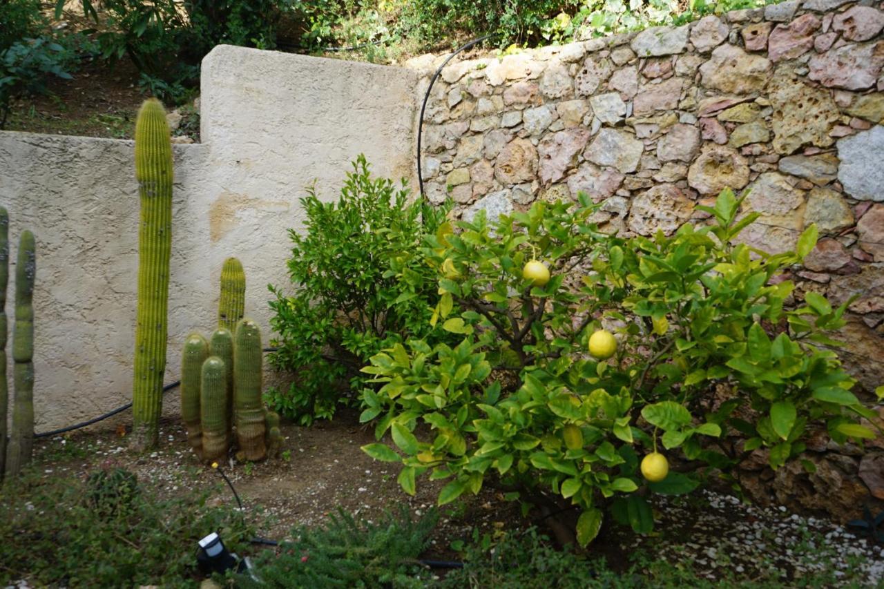 Villa Les Cades Sainte-Maxime Eksteriør billede